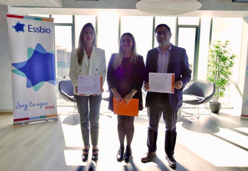 Auditores Internos 1