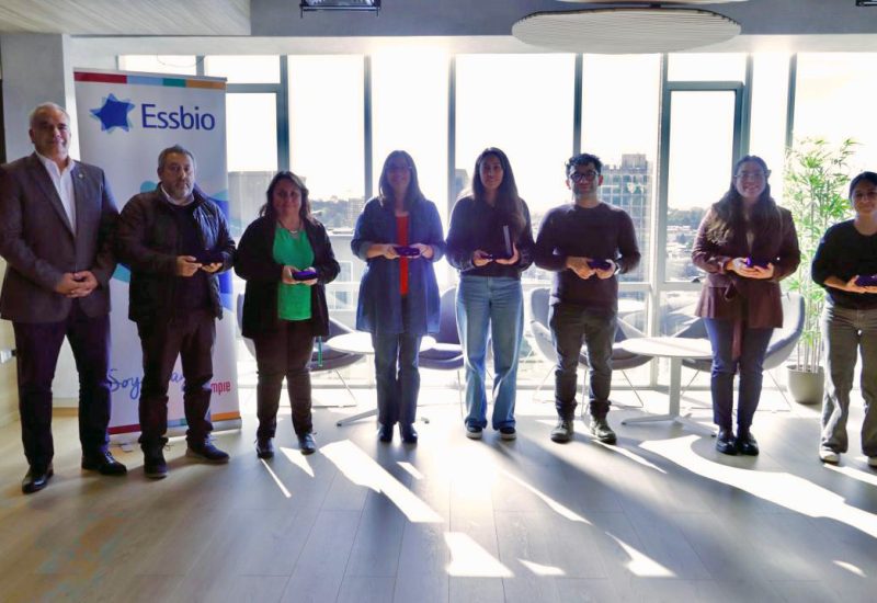 Auditores Internos 2