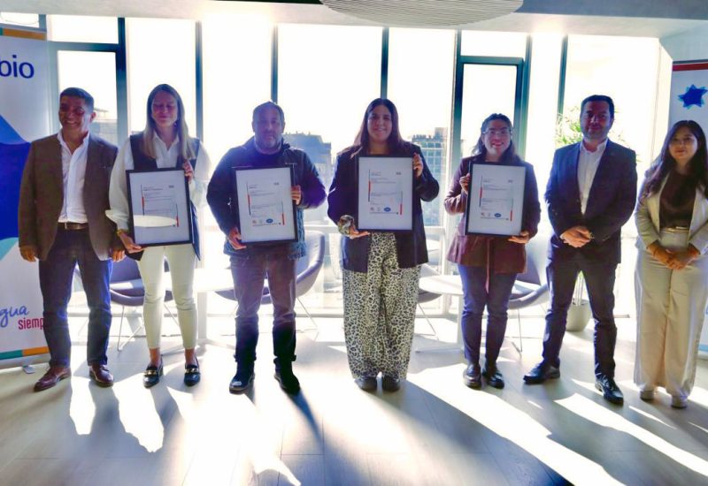 Auditores Internos 6